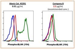 Invitrogen Phospho-BLNK (Tyr84) Recombinant Rabbit Monoclonal Antibody