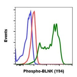 Invitrogen Phospho-BLNK (Tyr84) Recombinant Rabbit Monoclonal Antibody