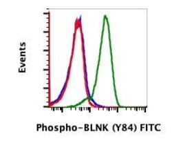 Invitrogen Phospho-BLNK (Tyr84) Recombinant Rabbit Monoclonal Antibody
