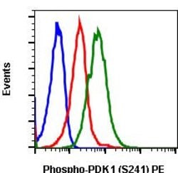 Phospho-PDPK1 (Ser241) Recombinant Rabbit Monoclonal Antibody (PDK1S241-F7), PE, Invitrogen&trade;