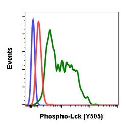 Invitrogen Phospho-Lck (Tyr505) Recombinant Rabbit Monoclonal Antibody