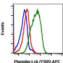 Phospho-Lck (Tyr505) Recombinant Rabbit Monoclonal Antibody (LckY505-A3),