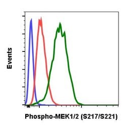 Invitrogen Phospho-MEK1/MEK2 (Ser217, Ser221) Recombinant Rabbit Monoclonal