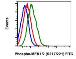 Invitrogen Phospho-MEK1/MEK2 (Ser217, Ser221) Recombinant Rabbit Monoclonal
