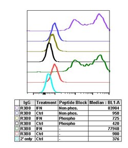 Invitrogen Phospho-c-Cbl (Tyr774) Recombinant Rabbit Monoclonal Antibody