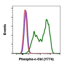 Invitrogen Phospho-c-Cbl (Tyr774) Recombinant Rabbit Monoclonal Antibody