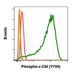Invitrogen Phospho-c-Cbl (Tyr700) Recombinant Rabbit Monoclonal Antibody