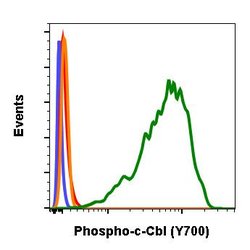 Invitrogen Phospho-c-Cbl (Tyr700) Recombinant Rabbit Monoclonal Antibody