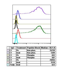 Invitrogen Phospho-c-Cbl (Tyr700) Recombinant Rabbit Monoclonal Antibody
