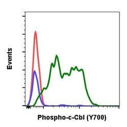 Invitrogen Phospho-c-Cbl (Tyr700) Recombinant Rabbit Monoclonal Antibody