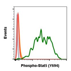Phospho-Stat5 (Tyr694) Recombinant Rabbit Monoclonal Antibody (Stat5Y694-G11),