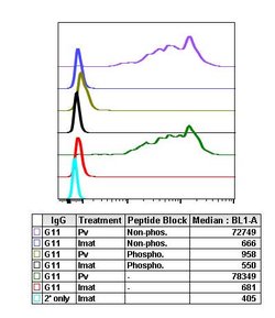 Phospho-Stat5 (Tyr694) Recombinant Rabbit Monoclonal Antibody (Stat5Y694-G11),