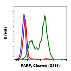 PARP1 (cleaved Asp214) Recombinant Rabbit Monoclonal Antibody (PARP-H8),