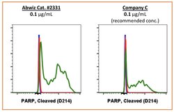 PARP1 (cleaved Asp214) Recombinant Rabbit Monoclonal Antibody (PARP-H8),