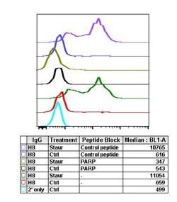 PARP1 (cleaved Asp214) Recombinant Rabbit Monoclonal Antibody (PARP-H8),