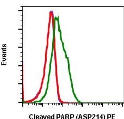 Invitrogen PARP1 (cleaved Asp214) Recombinant Rabbit Monoclonal Antibody