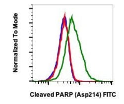 Invitrogen PARP1 (cleaved Asp214) Recombinant Rabbit Monoclonal Antibody