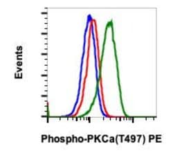 Phospho-PKC alpha (Thr497) Recombinant Rabbit Monoclonal Antibody (PKCaT497-F1),
