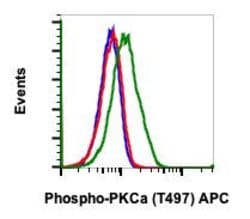 Phospho-PKC alpha (Thr497) Recombinant Rabbit Monoclonal Antibody (PKCaT497-F1),