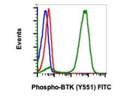 Invitrogen Phospho-Btk (Tyr551) Recombinant Rabbit Monoclonal Antibody