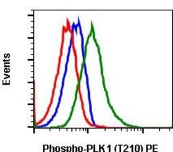 Invitrogen Phospho-PLK1 (Thr210) Recombinant Rabbit Monoclonal Antibody