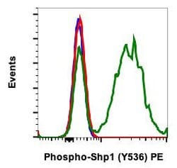 Phospho-SHP-1 (Tyr536) Recombinant Rabbit Monoclonal Antibody (Shp1Y536-2A7),