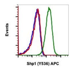 Phospho-SHP-1 (Tyr536) Recombinant Rabbit Monoclonal Antibody (Shp1Y536-2A7),