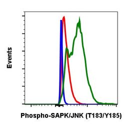 Phospho-MAPK9 (Thr183, Tyr185) Recombinant Rabbit Monoclonal Antibody (SAPKT183Y185-A11),