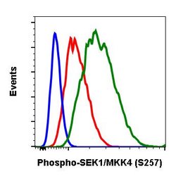 Invitrogen Phospho-MAP2K4 (Ser257) Recombinant Rabbit Monoclonal Antibody