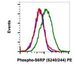Invitrogen Phospho-S6 Ribosomal Protein (Ser240, Ser244) Recombinant Rabbit