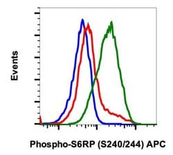 Invitrogen Phospho-S6 Ribosomal Protein (Ser240, Ser244) Recombinant Rabbit