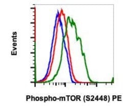 Phospho-mTOR (Ser2448) Recombinant Rabbit Monoclonal Antibody (mTORS2448-E11),
