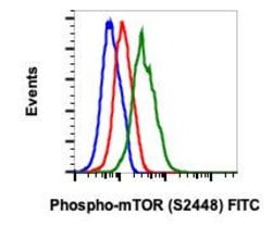 Phospho-mTOR (Ser2448) Recombinant Rabbit Monoclonal Antibody (mTORS2448-E11),
