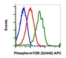 Invitrogen Phospho-mTOR (Ser2448) Recombinant Rabbit Monoclonal Antibody