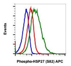 Phospho-HSP27 (Ser82) Recombinant Rabbit Monoclonal Antibody (HSP27S82-CB2),