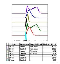 Invitrogen Phospho-Aurora A/B/C (Thr288, Thr232, Thr198) Recombinant Rabbit