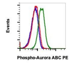 Invitrogen Phospho-Aurora A/B/C (Thr288, Thr232, Thr198) Recombinant Rabbit