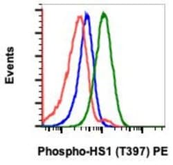 Invitrogen Phospho-HCLS1 (Tyr397) Recombinant Rabbit Monoclonal Antibody