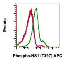 Invitrogen Phospho-HCLS1 (Tyr397) Recombinant Rabbit Monoclonal Antibody