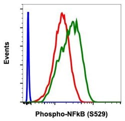 Invitrogen Phospho-NFkB p65 (Ser529) Recombinant Rabbit Monoclonal Antibody