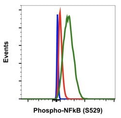 Invitrogen Phospho-NFkB p65 (Ser529) Recombinant Rabbit Monoclonal Antibody