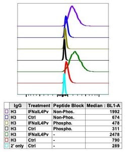 Invitrogen Phospho-NFkB p65 (Ser529) Recombinant Rabbit Monoclonal Antibody