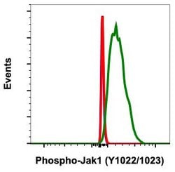 Invitrogen Phospho-Jak1 (Tyr1022, Tyr1023) Recombinant Rabbit Monoclonal