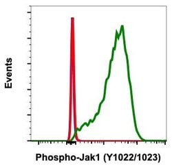 Invitrogen Phospho-Jak1 (Tyr1022, Tyr1023) Recombinant Rabbit Monoclonal
