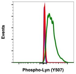 Phospho-Lyn (Tyr507) Recombinant Rabbit Monoclonal Antibody (LynY507-5B6),