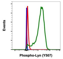 Phospho-Lyn (Tyr507) Recombinant Rabbit Monoclonal Antibody (LynY507-5B6),