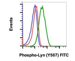 Invitrogen Phospho-Lyn (Tyr507) Recombinant Rabbit Monoclonal Antibody