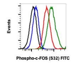 Phospho-c-Fos (Ser32) Recombinant Rabbit Monoclonal Antibody (cFosS32-BA9),