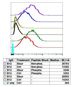 Phospho-MCM2 (Ser139) Recombinant Rabbit Monoclonal Antibody (MCM2S139-B12),