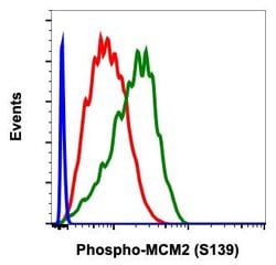 Phospho-MCM2 (Ser139) Recombinant Rabbit Monoclonal Antibody (MCM2S139-B12),